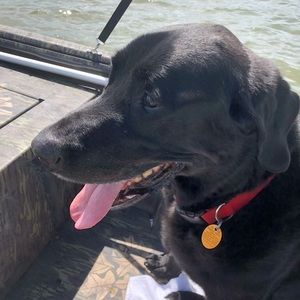 Meet your Posher, Jane